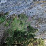 Le Mt Julien, ses grottes et ses vallons Photo27