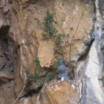 Les grottes secrètes du cap Morgoiu Photo35
